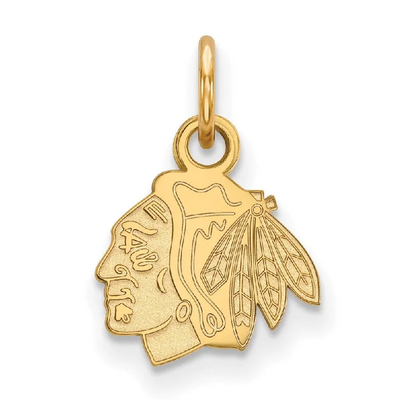 Gold - Plated Pendants with Enameled Floral Bouquets14k Yellow Gold NHL Chicago Blackhawks XS (Tiny) Charm or Pendant